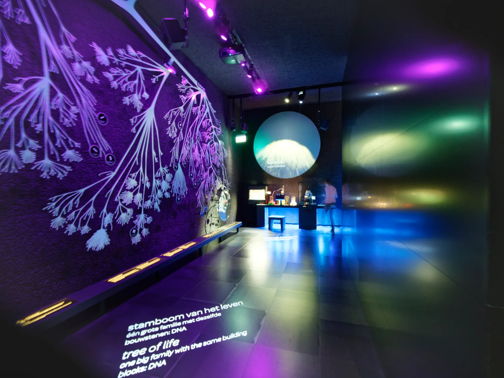 Uncover Amsterdam's Natural &amp; Scientific Wonders: Your Guide