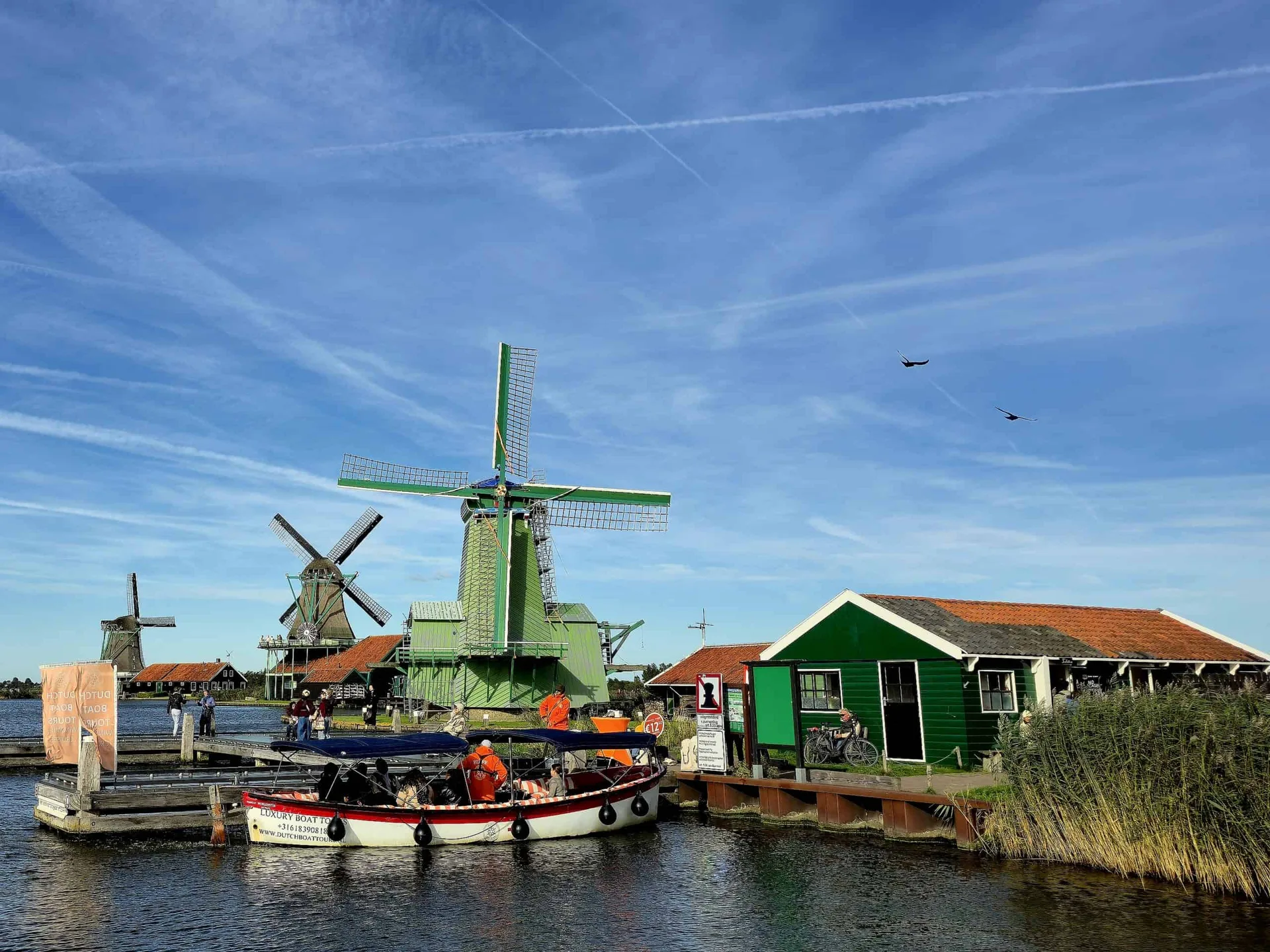 Rotterdam Day Trip from Amsterdam: Your Essential Guide to Tours