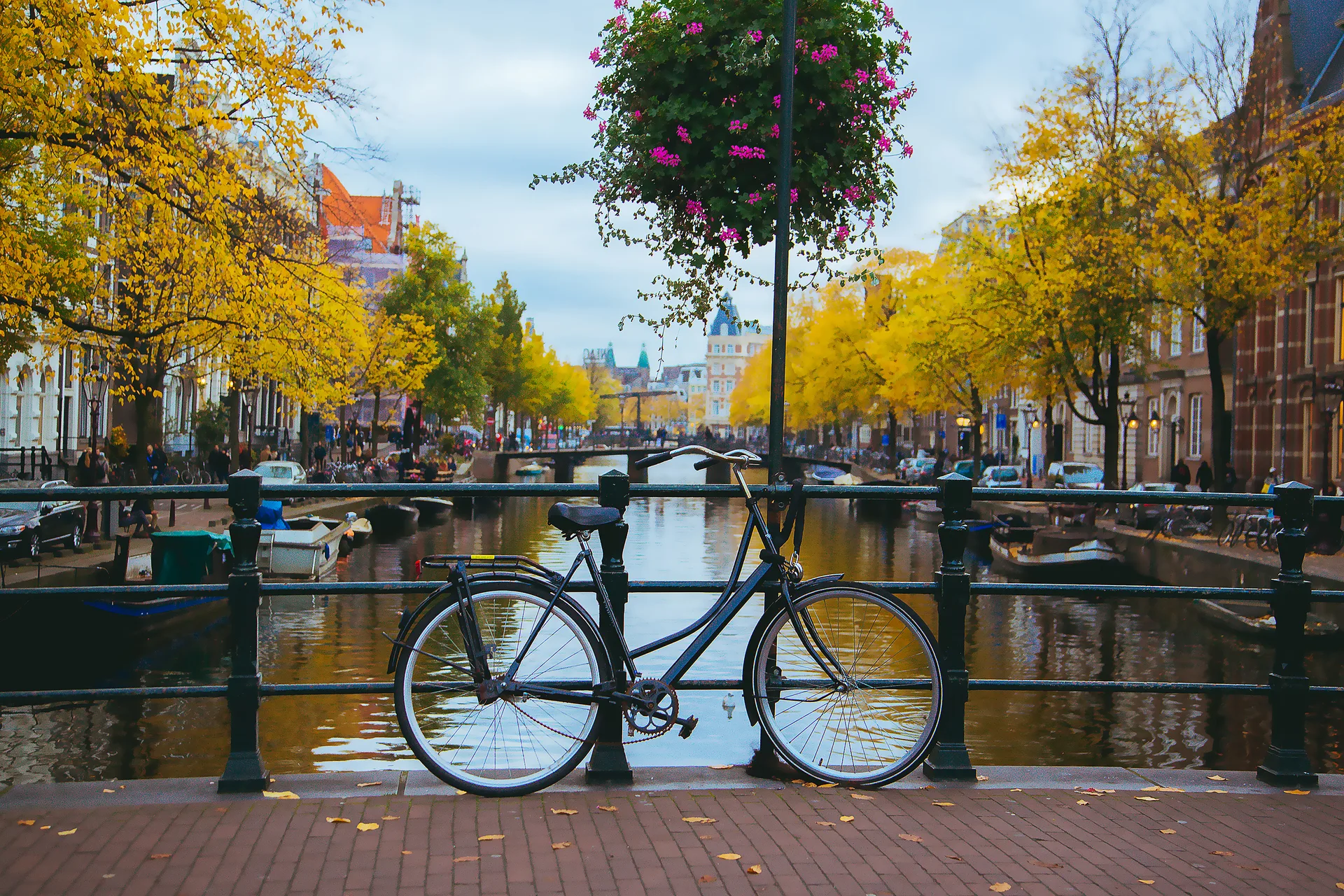 Amsterdam's Top Tables: How to Secure Your Spot at the City's