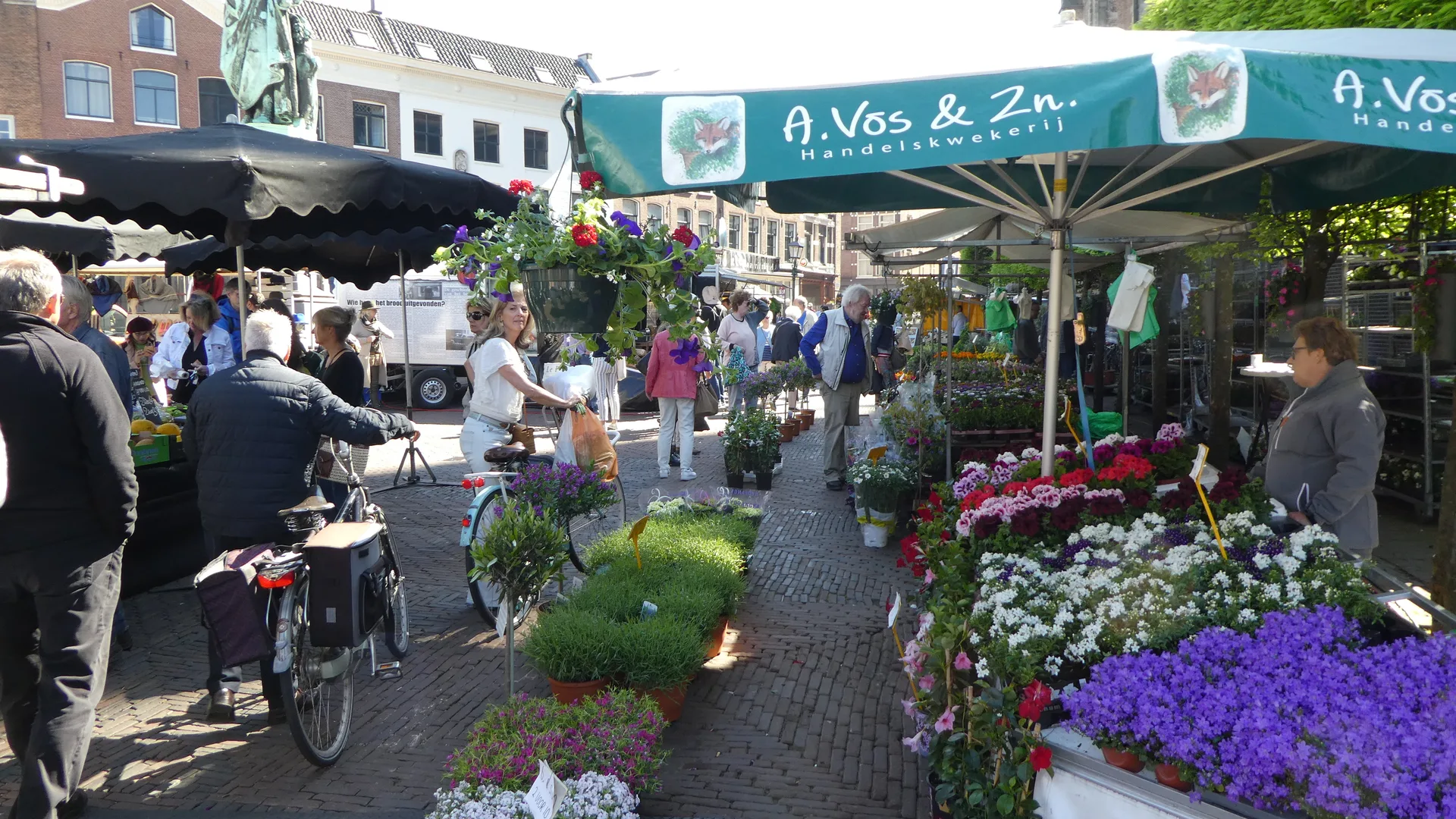 Your Essential Guide to Haarlem Travel in 2026