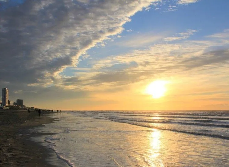 Best Beaches in the Netherlands: Your 2026 Coast-to-Coast Guide