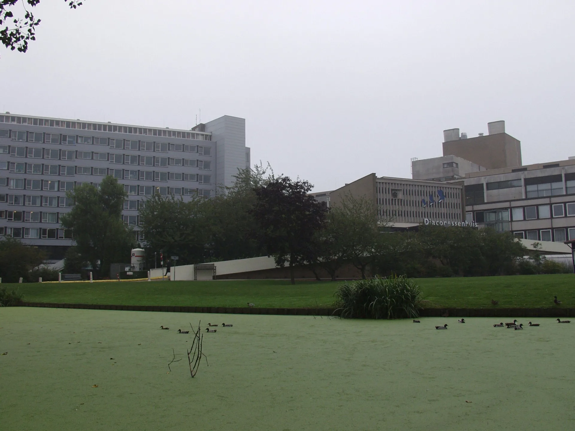 Hiking and Trails in Leiden: Your Guide to Exploring Green