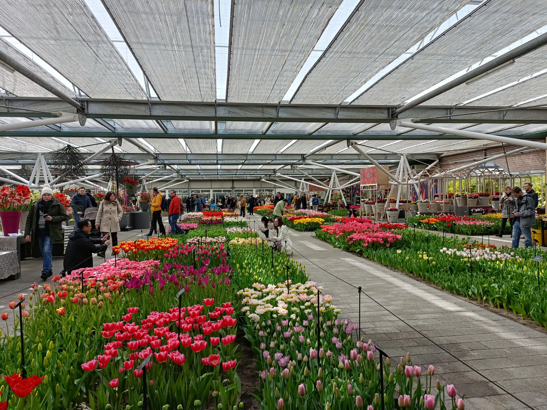 Your Essential Haarlem Planning Guide: Navigate the City Like