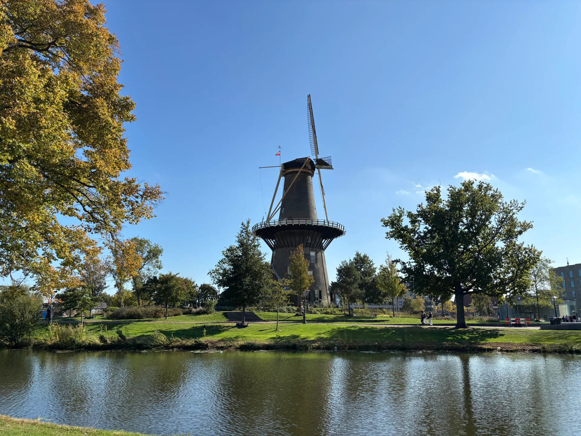 Netherlands Cultural Roots Leiden Guide (2026)