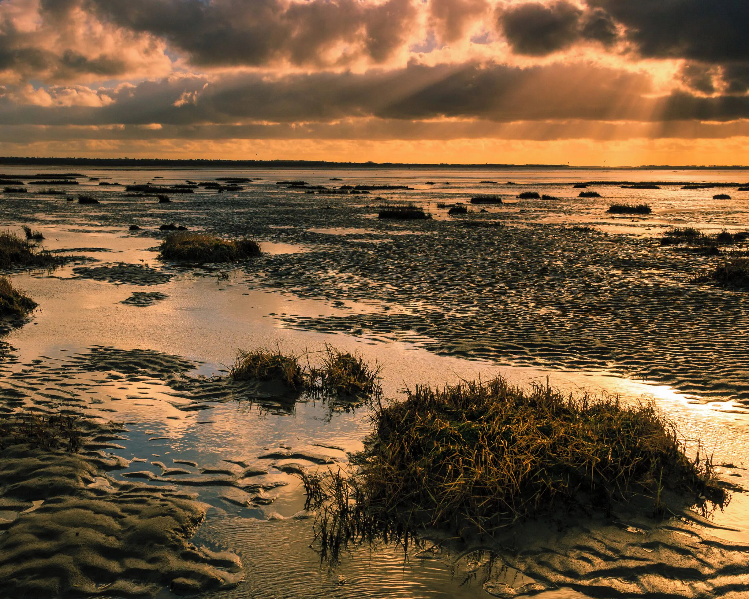 Rotterdam Beach Trip: Your Practical Planning Guide