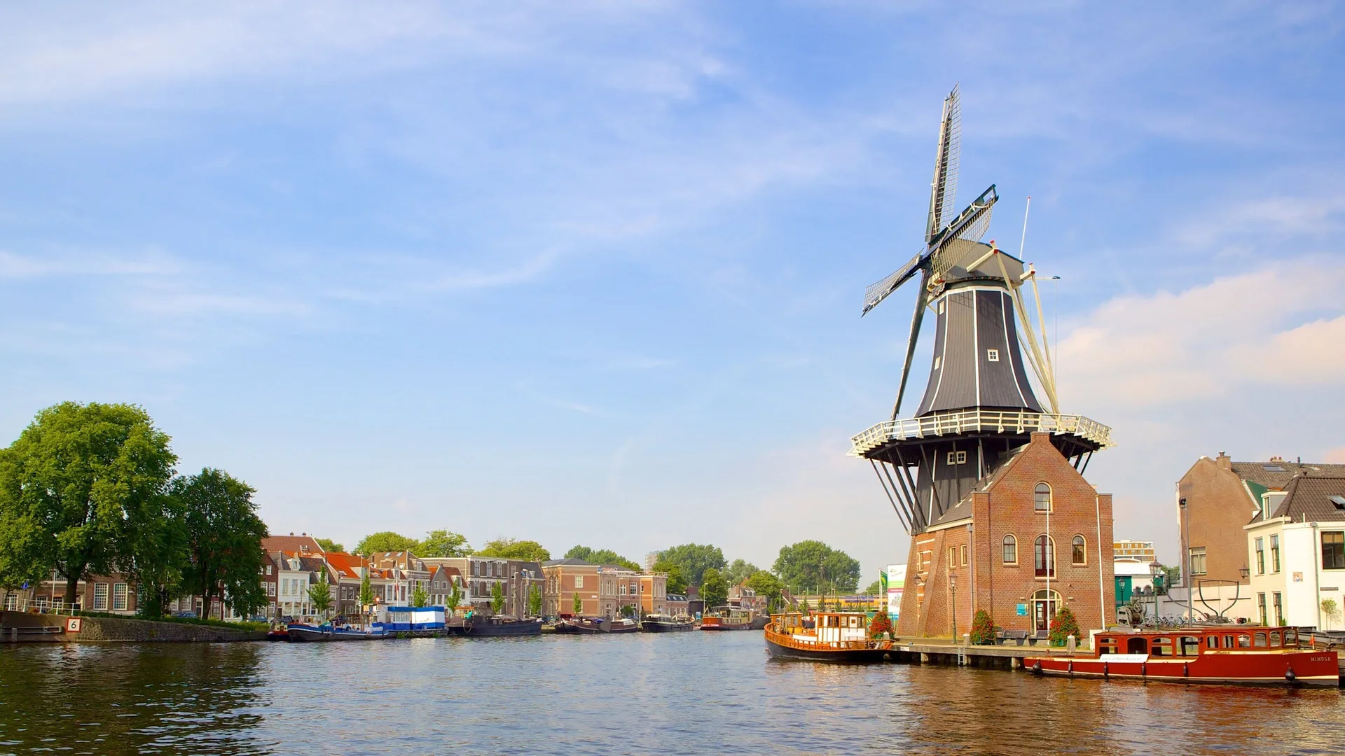 Haarlem Immersive Tours Experiences: 2026 Guide