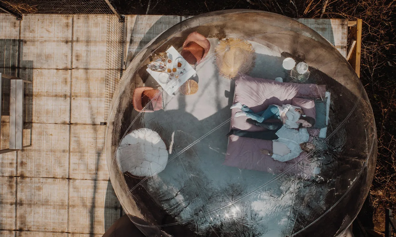 Beyond Amsterdam: The Hague's Dynamic Food Scene in 2026
