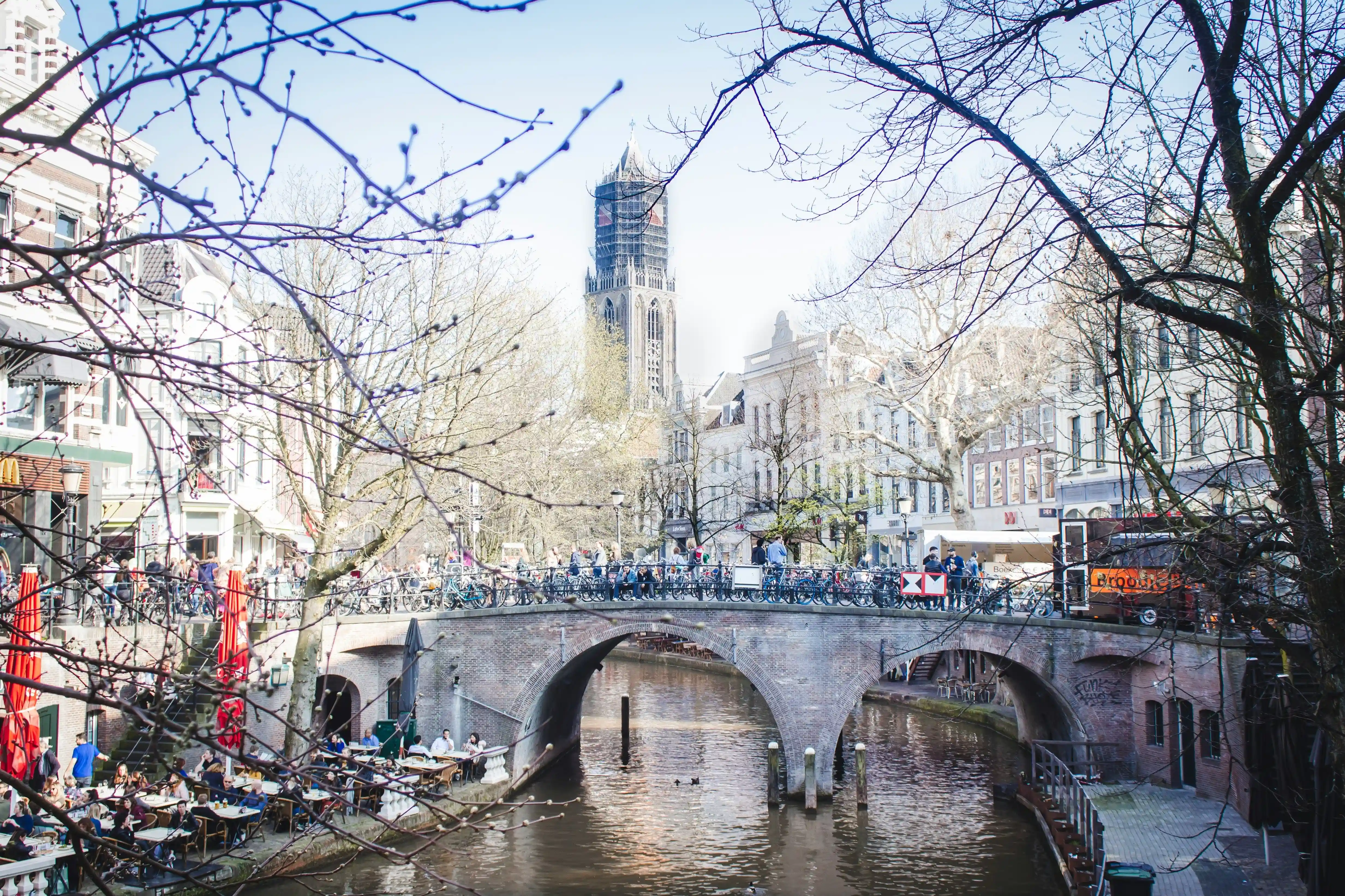 The Hague Uncovered: A Local's Guide to Its Distinct Districts