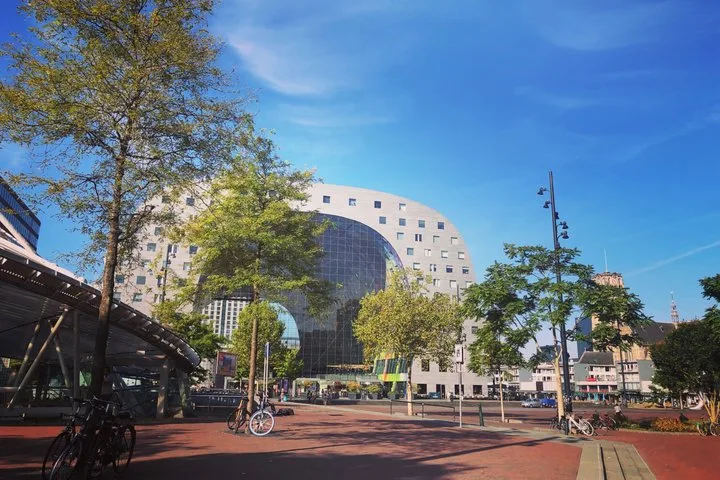 Rotterdam Delft and The Hague Premium Day Tour with Hotel Pickup